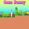 Cano Bunny: A Fun and Addictive Game for All Ages